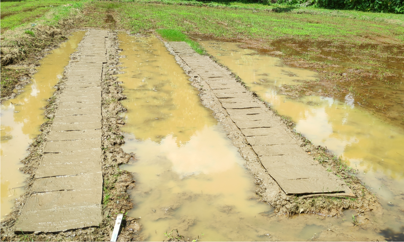 Encouraging Farmers for the Ecological Farming with Combining the Latest Technology. 
